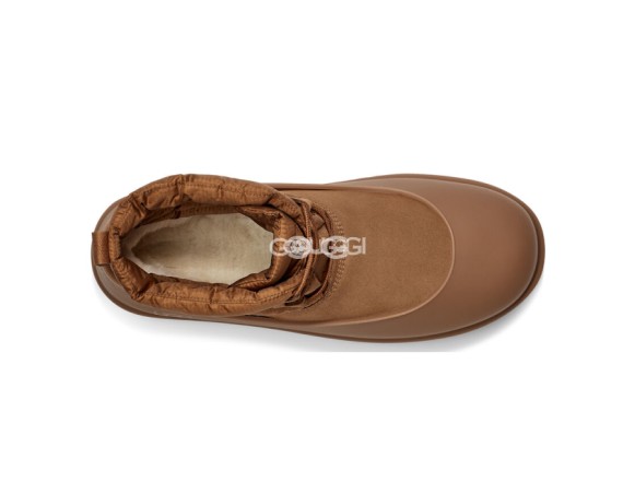 Женские мини угги Classic Mini Lace-Up Weather Chestnut