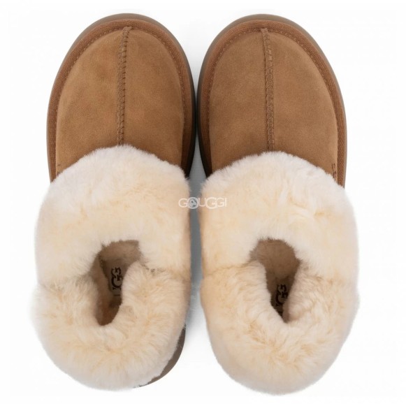 Женские тапочки Ugg Slippers Disquette Chestnut